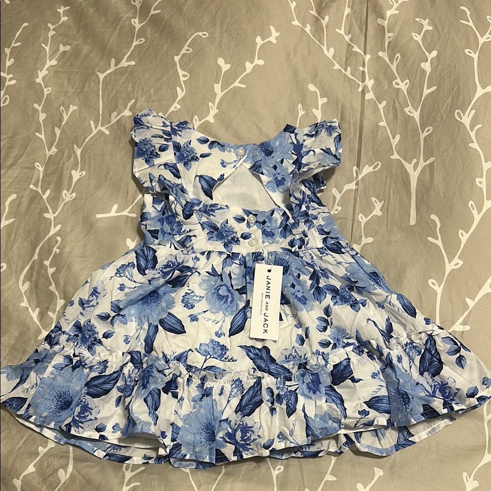 Janie and Jack Blue Floral Dress